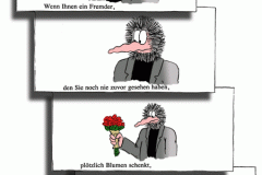065wcomic