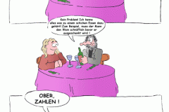 078wcomic