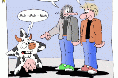 113wcomic